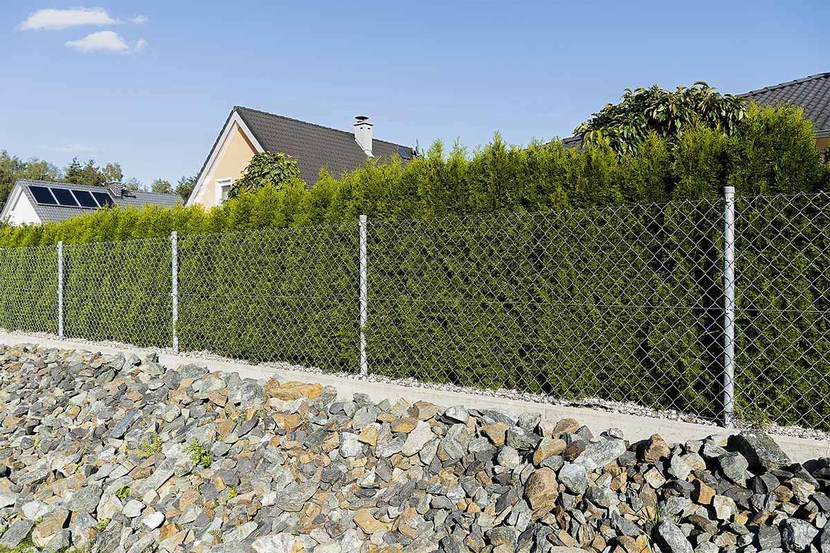 A Chain-link Fence In A Backyard